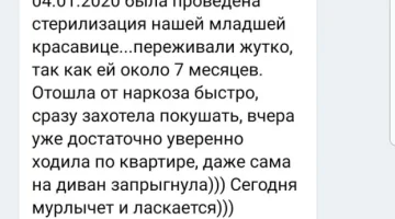 Мобильная ветеринарная помощь Леопольд изображение 12