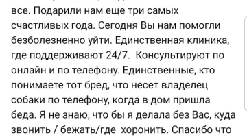 Мобильная ветеринарная помощь Леопольд изображение 5