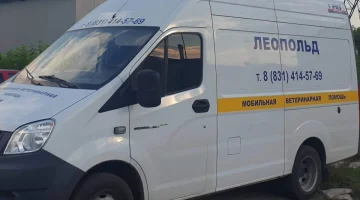Мобильная ветеринарная помощь Леопольд изображение 11